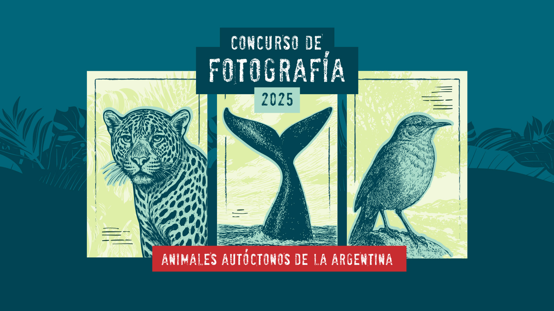 Concurso de fotografía 2025